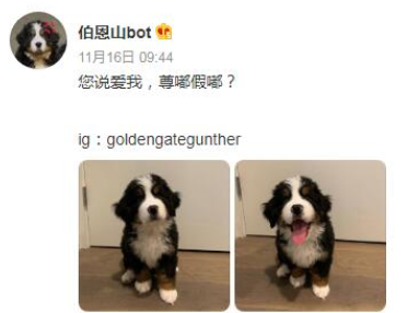 抖音尊嘟假嘟啥意思 尊嘟假嘟梗意思