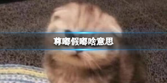 抖音尊嘟假嘟啥意思 尊嘟假嘟梗意思