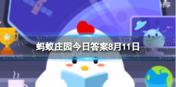小鸡宝宝考考你海绵是植物还是动物