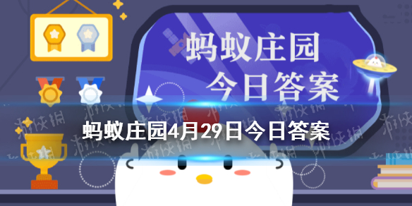 下列词牌名中蚂蚁庄园 今日蚂蚁庄园答案最新4.29