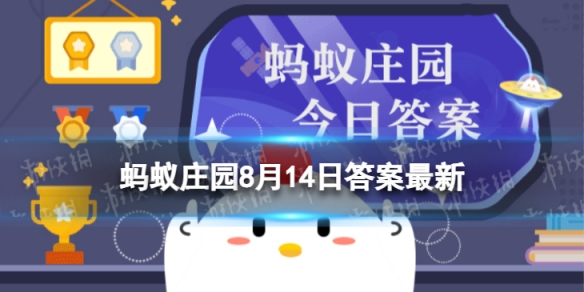 黄瓜是张骞带回来的吗 蚂蚁庄园黄瓜