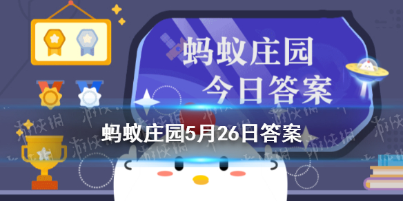 经常吃汤泡饭蚂蚁庄园 庄园小课堂今日答案5.26