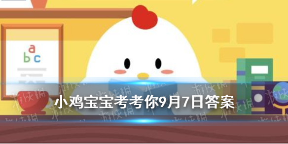 小鸡宝宝考考你一般来说，现在正宗的“夫妻肺片”里有肺片吗