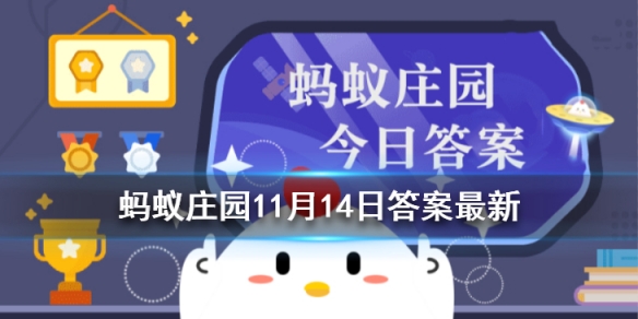 多吃核桃会变聪明吗蚂蚁庄园 吃核桃真的能补脑吗