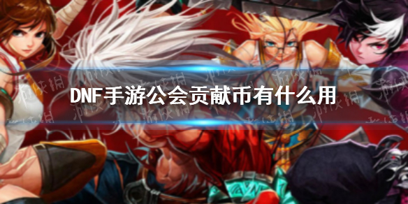《DNF手游》公会贡献币有什么用 公会贡献币怎么用