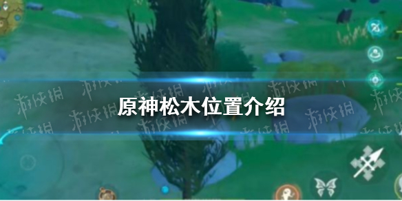 《原神》松木在哪里 松木位置一览