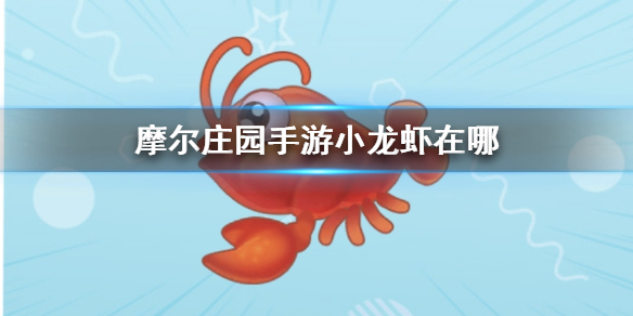 《摩尔庄园手游》小龙虾在哪 小龙虾位置