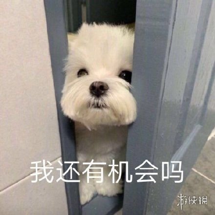 您看我还有机会吗表情包 您看我还有机会吗表情包大全