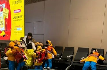 小砂糖橘是什么意思