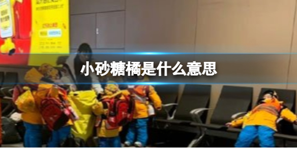 小砂糖橘是什么意思