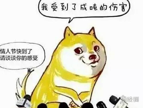 虐狗是什么意思 虐狗网络用语介绍