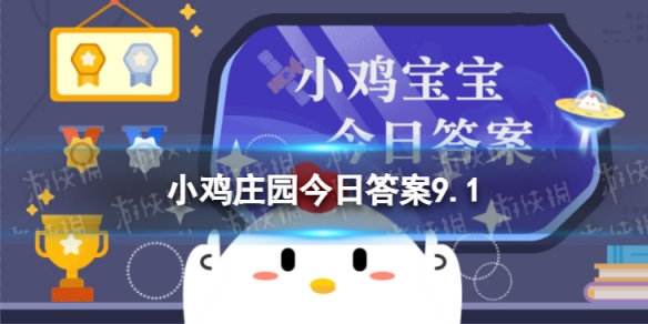 面包蚂蚁庄园 面包里通常有许多小孔的原因