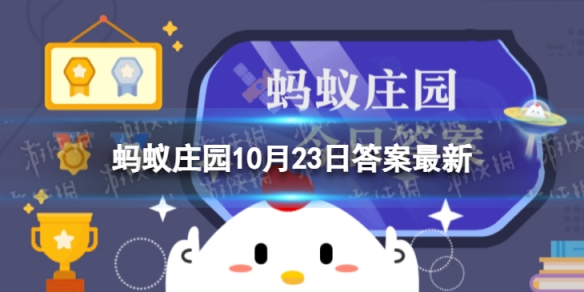 彩超的图像看起来还是黑白的蚂蚁庄园 蚂蚁庄园今日答案彩超图像
