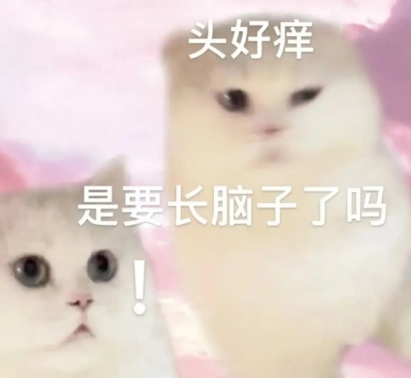头有点痒可能在长脑子表情包 抖音头有点痒好像要长出脑子图片