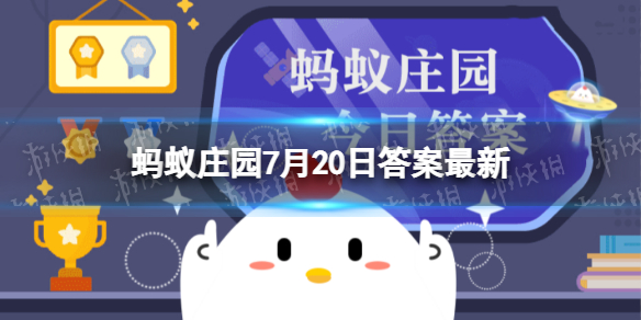 小鸡宝宝考考你：为什么鸽子走起路来总在点头