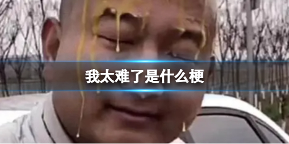 我太难了是什么梗