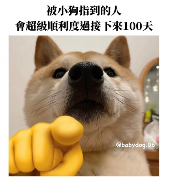 谢谢小狗是什么梗 快说谢谢小狗是什么意思