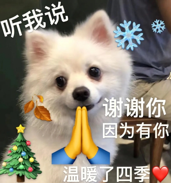 谢谢小狗是什么梗 快说谢谢小狗是什么意思