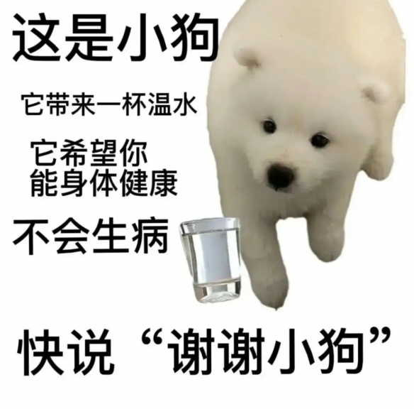 谢谢小狗是什么梗 快说谢谢小狗是什么意思