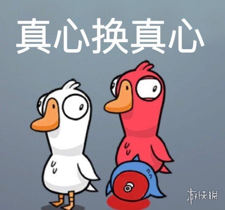 《鸭鸭杀》表情包分享 鸭鸭杀手游表情包大全