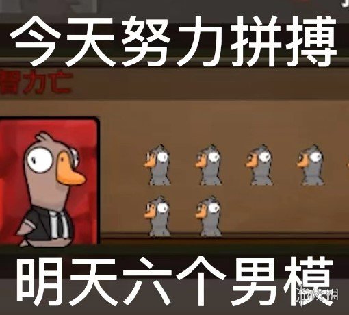 《鸭鸭杀》表情包分享 鸭鸭杀手游表情包大全