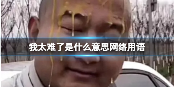 我太难了是什么意思网络用语