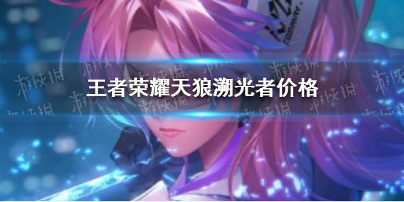 《王者荣耀》伽罗kpl皮肤多少钱 天狼溯光者价格