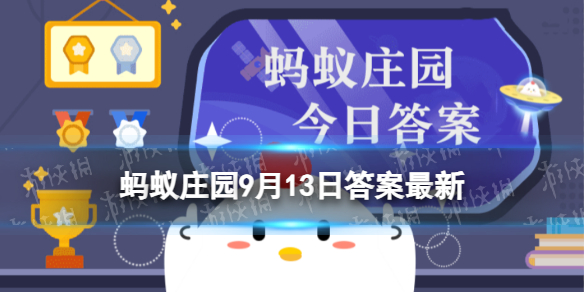红心火龙果蚂蚁庄园 红心火龙果的果肉之所以是红色9.13答案