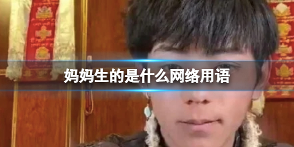 妈妈生的是什么网络用语 我是妈妈生的网络用语什么意思
