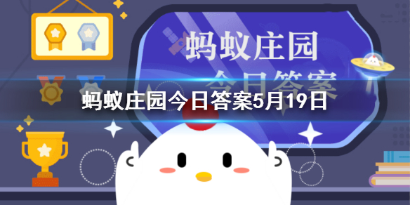 鸟类聘礼 鸟类婚娶聘礼蚂蚁森林答案5.19