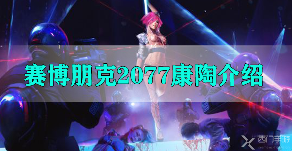 赛博朋克2077康陶介绍