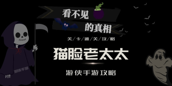 看不见的真相猫脸老太太攻略