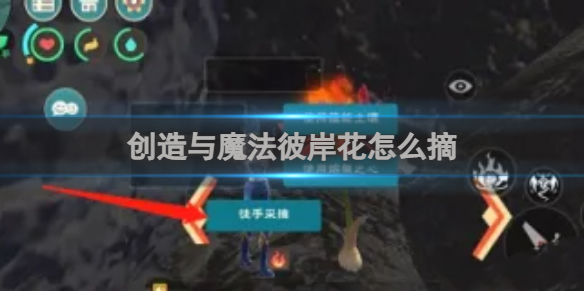 创造与魔法彼岸花怎么摘