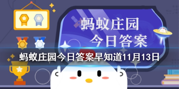 炒板栗时为什么要加小石子 支付宝蚂蚁庄园炒板栗答案11.13