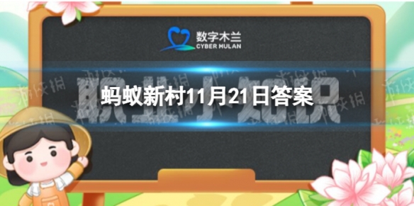 芭蕾舞演员能用脚尖站立 蚂蚁新村11.21答案