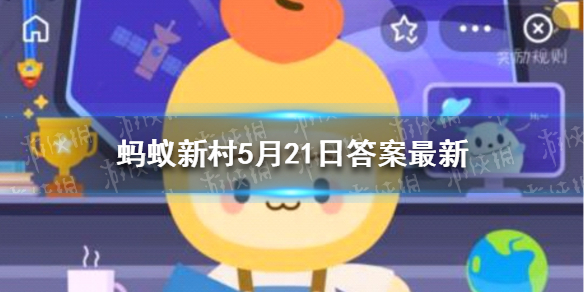 小满吃甜菜还是苦菜 蚂蚁新村答案小满