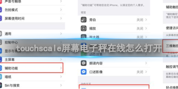touchscale屏幕电子秤在线怎么打开