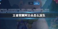 王者荣耀阿古朵怎么放生