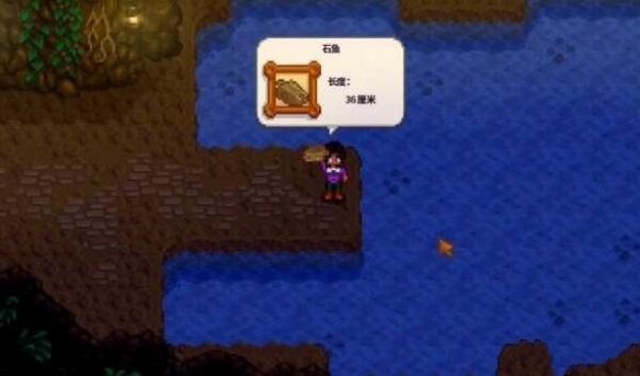 星露谷物语攻略大全