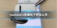 touchscale屏幕电子秤怎么用