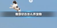 微信状态怎么养宠物