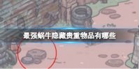 最强蜗牛隐藏贵重物品有哪些