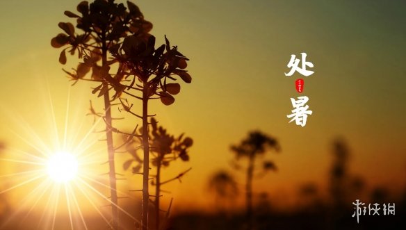 处暑图片2022 处暑图片大全高清唯美带字