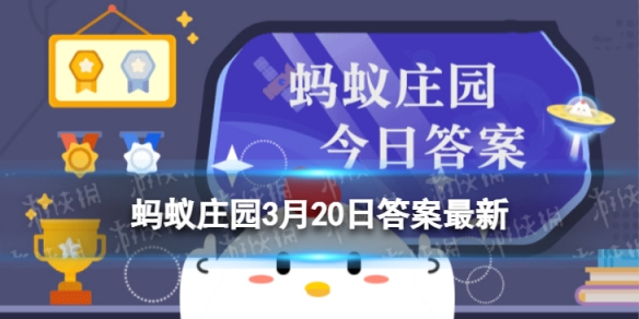 春分到蛋儿俏指的是 蚂蚁庄园春分到蛋儿俏