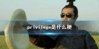 privilege是什么梗 privilege文学介绍