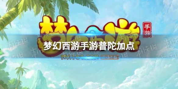 梦幻西游手游普陀加点