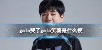 gala哭了gala笑着是什么梗 gala哭了gala笑了梗介绍