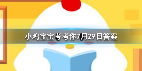 小鸡宝宝考考你自动扶梯的阶梯旁边会有一排毛刷，这有什么用