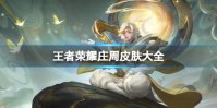 王者荣耀庄周皮肤大全