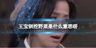 王宝钏挖野菜是什么意思呀 王宝钏挖野菜意思介绍